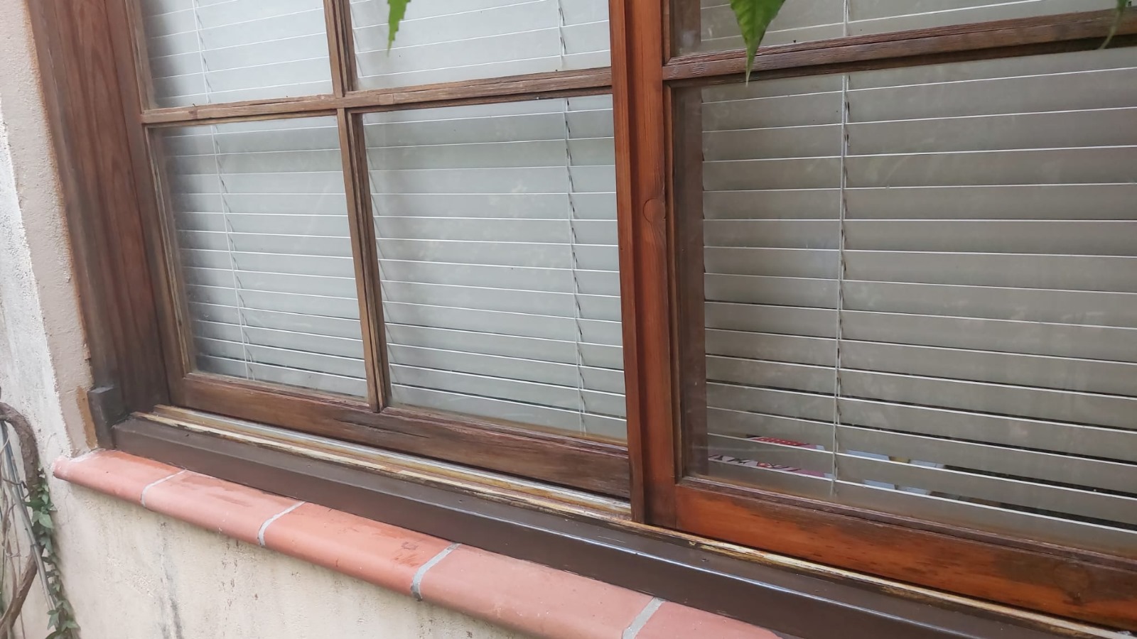 WhatsApp Image 2024-03-04 at 13.03.27